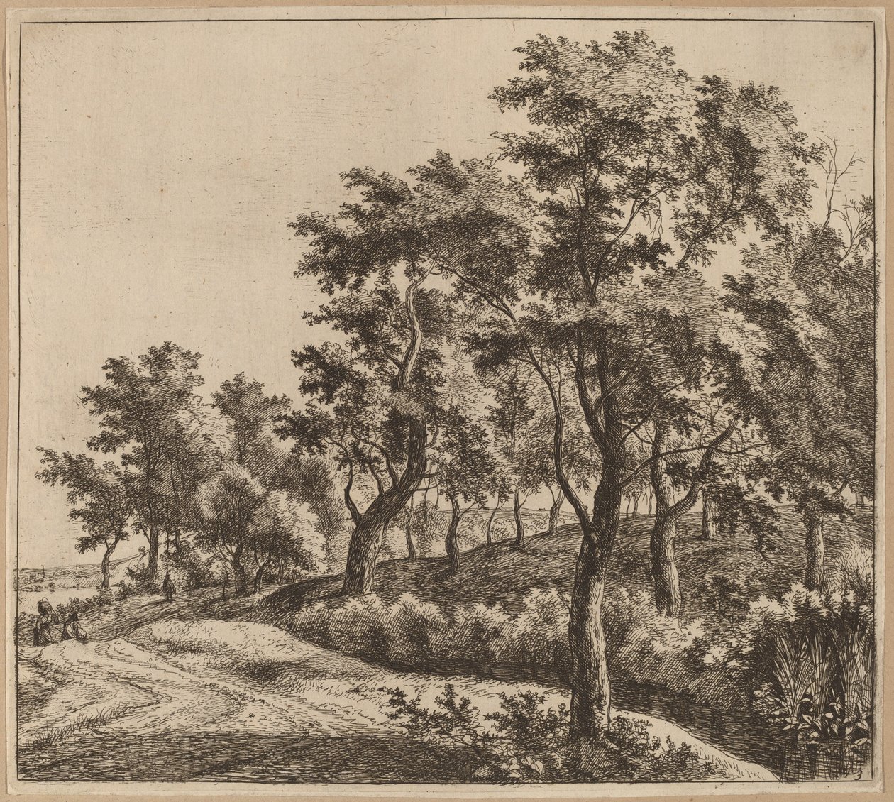 Paisagem com um córrego de Jan Hackaert