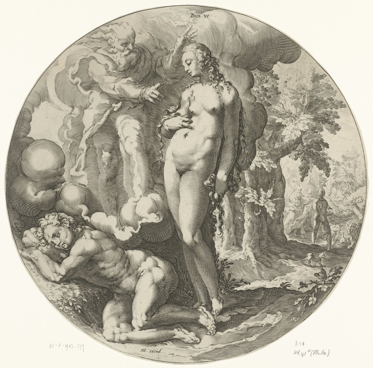 Sexto dia da criação: criação do homem
Morre VI (título sobre o objecto)
Criação do mundo (título da série) de Jan Harmensz. Muller