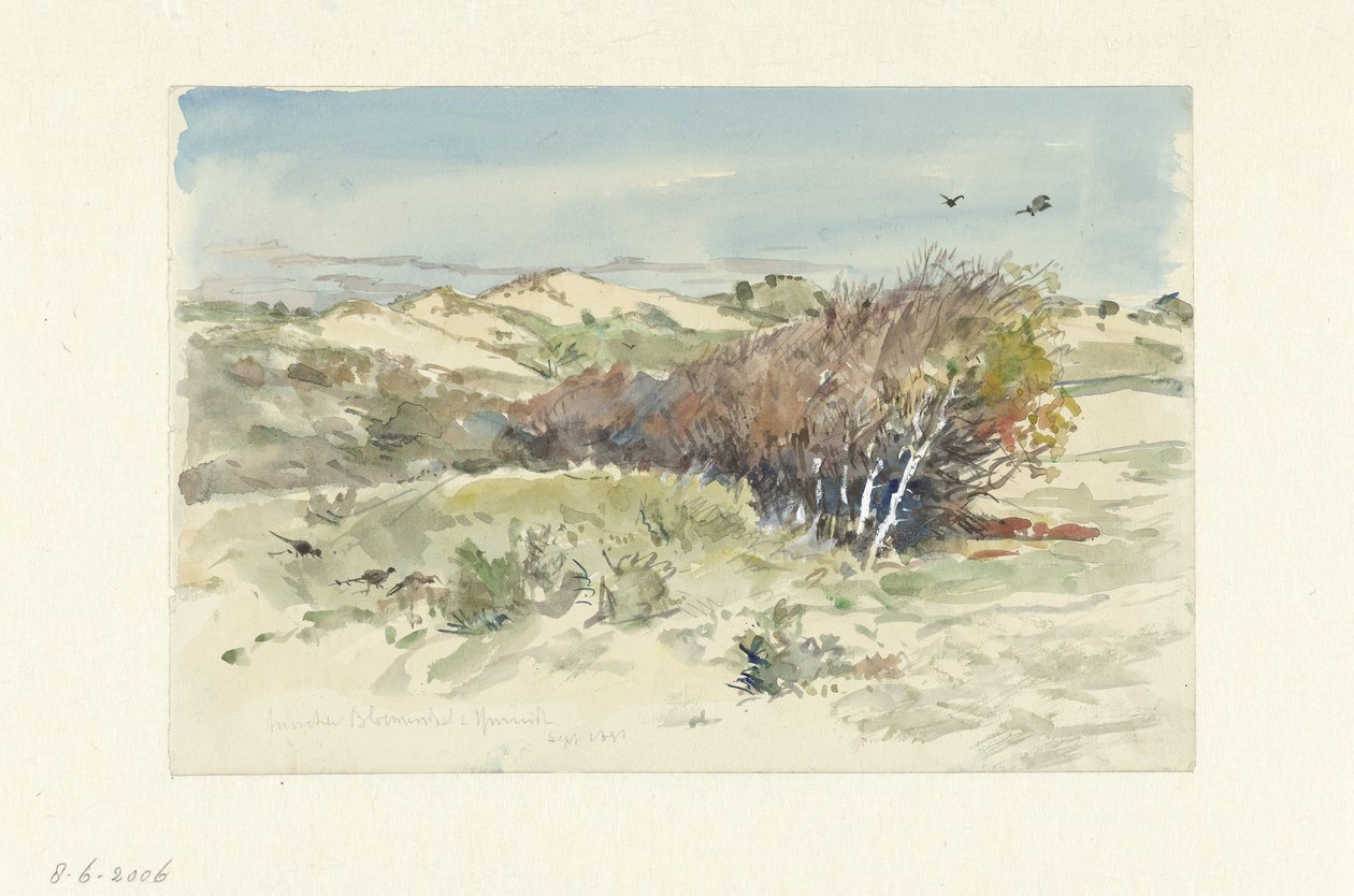 Paisagem dunar entre Bloemendaal e IJmuiden de Jan Hoynck van Papendrecht