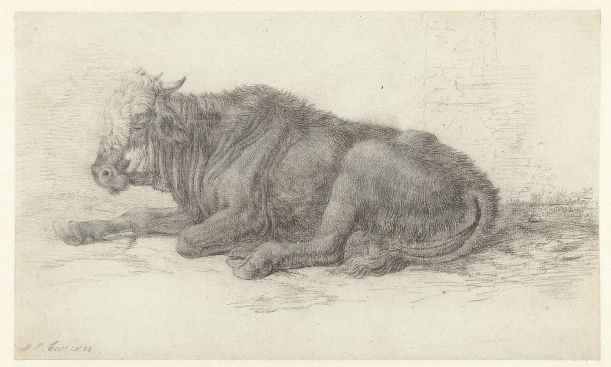 Vaca reclinada de Jan Joost van Cossiau