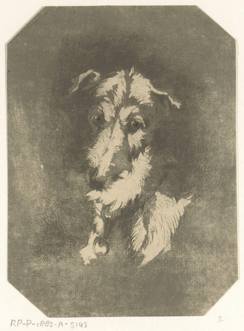 Cabeça de galgo de Jan Karel Jacob de Jonge