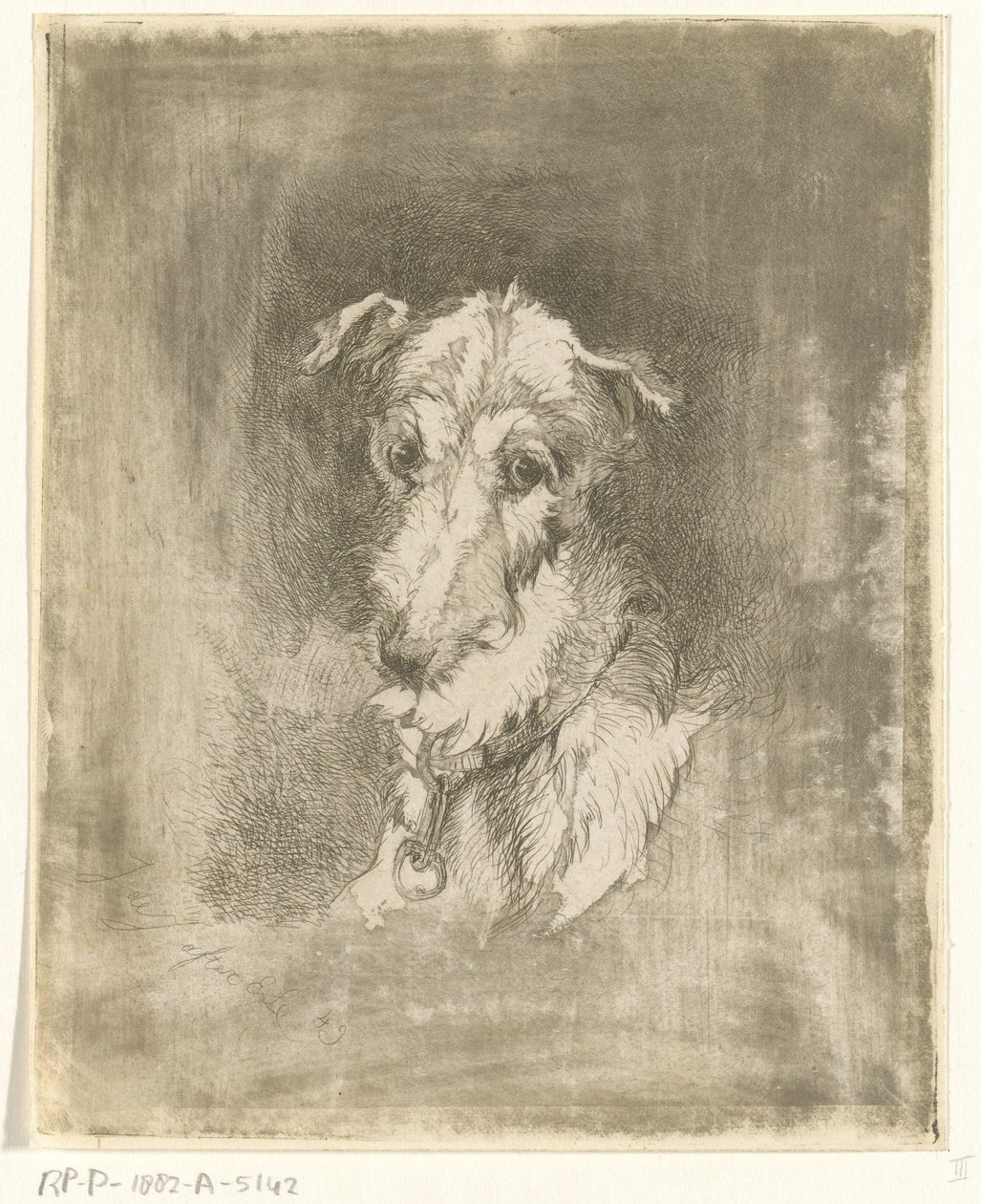 Cabeça de galgo de Jan Karel Jacob de Jonge