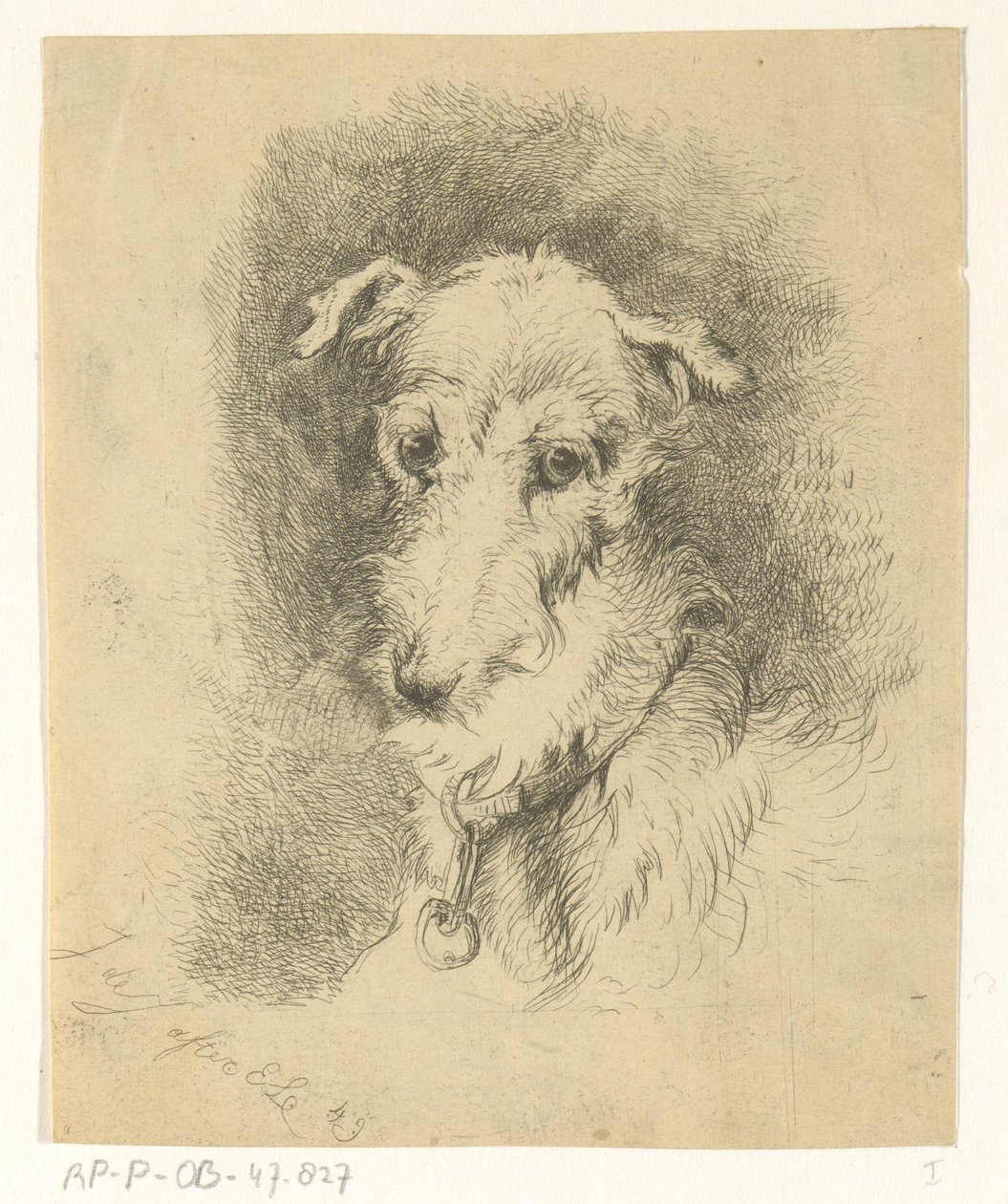 Cabeça de galgo de Jan Karel Jacob de Jonge