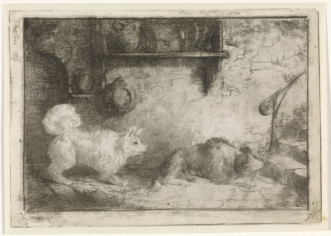 Dois cães de Jan Karel Jacob de Jonge