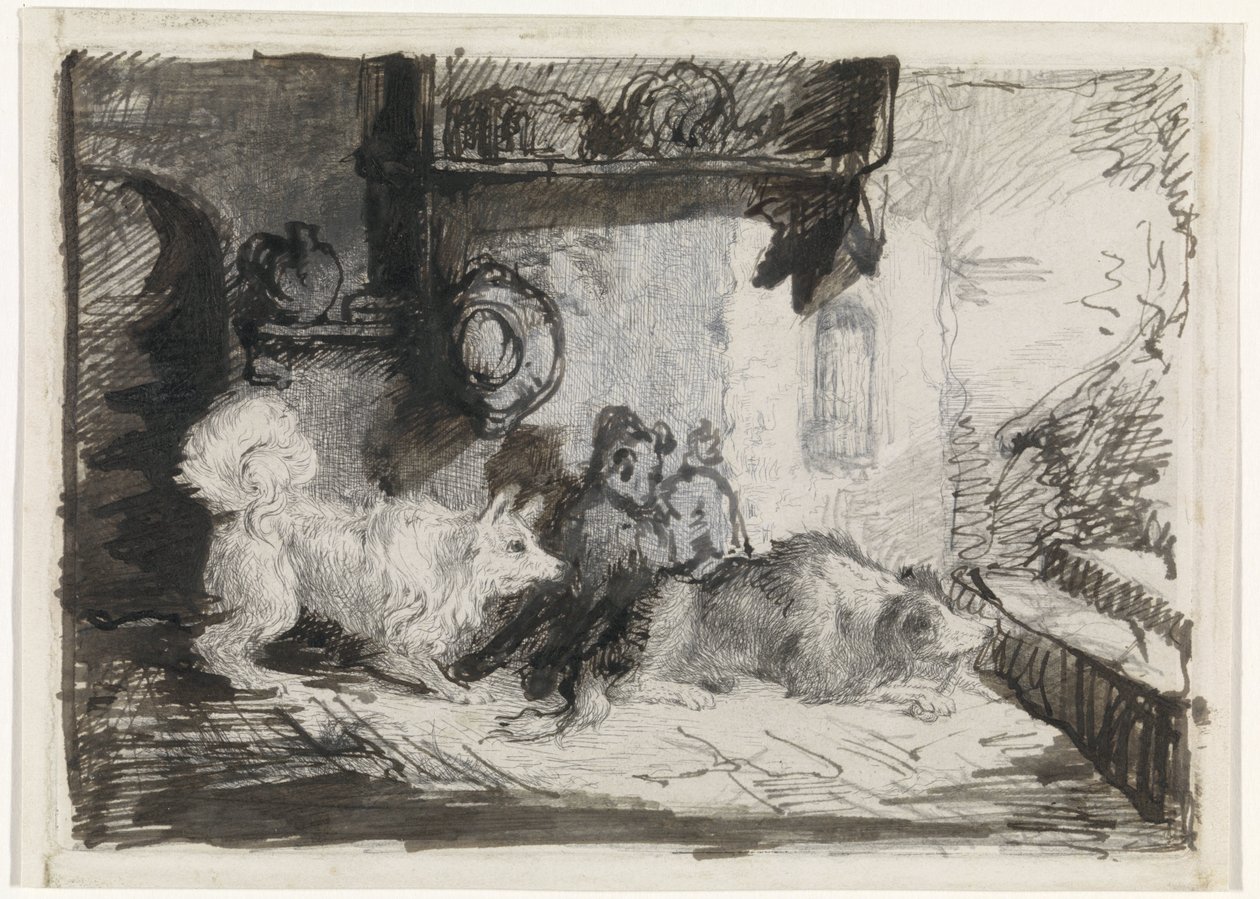 Dois cachorros de Jan Karel Jacob de Jonge