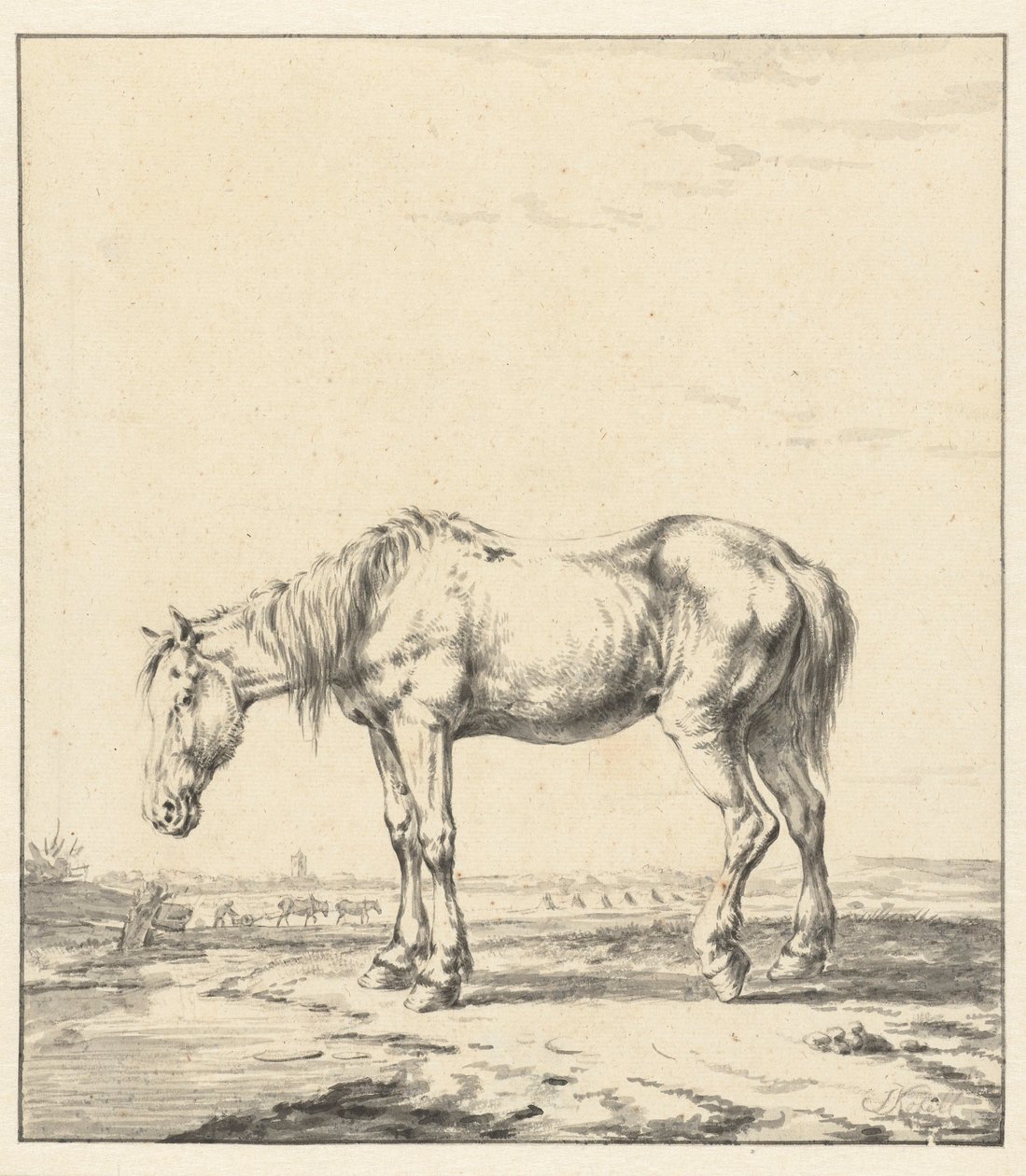 Cavalo velho em pé por uma água de Jan Kobell (II)