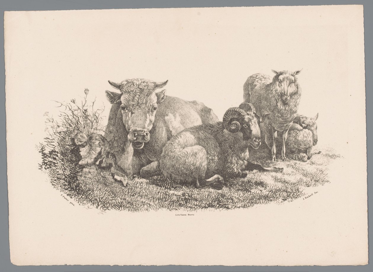 Vaca, carneiro e duas ovelhas Beesten Studien por J. Kobell após Paul Potter Nr. 1 (título da série) de Jan Kobell (III)