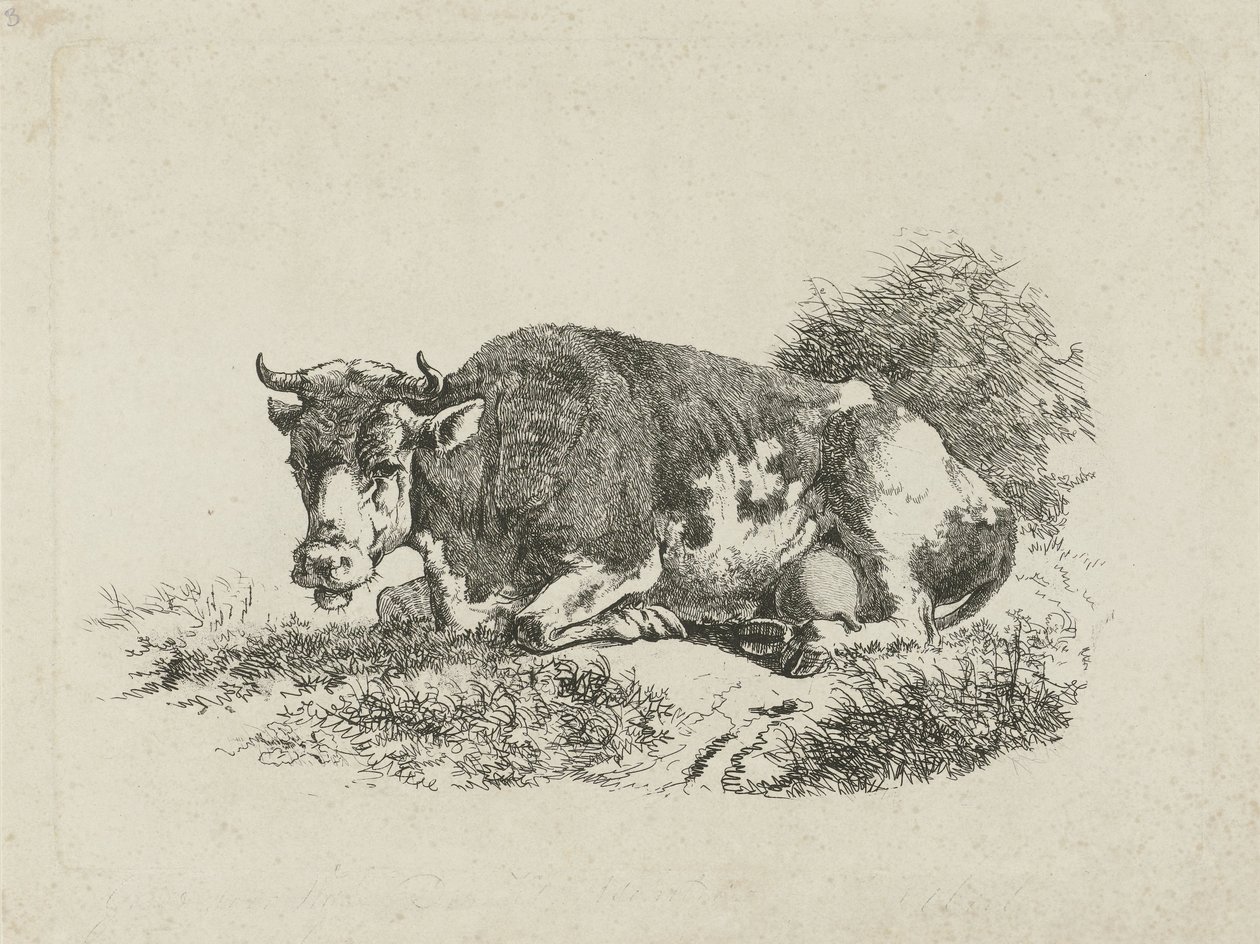 Vaca reclinada de Jan Kobell (III)