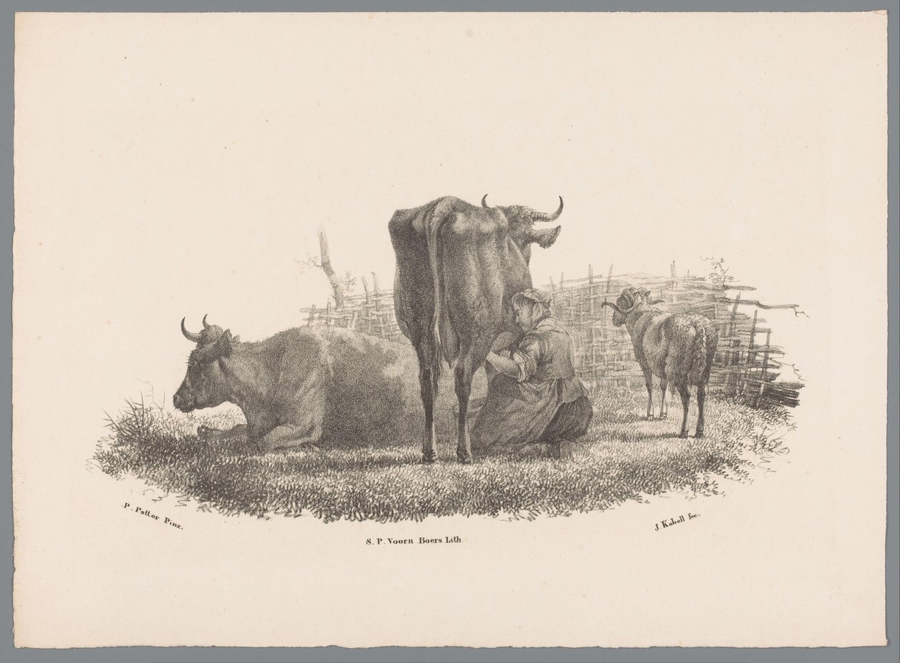 Mulher do produtor de leite, duas vacas e um carneiro
Besten Studien por J. Kobell depois de Paul Potter No. 1 (título da série) de Jan Kobell (III)