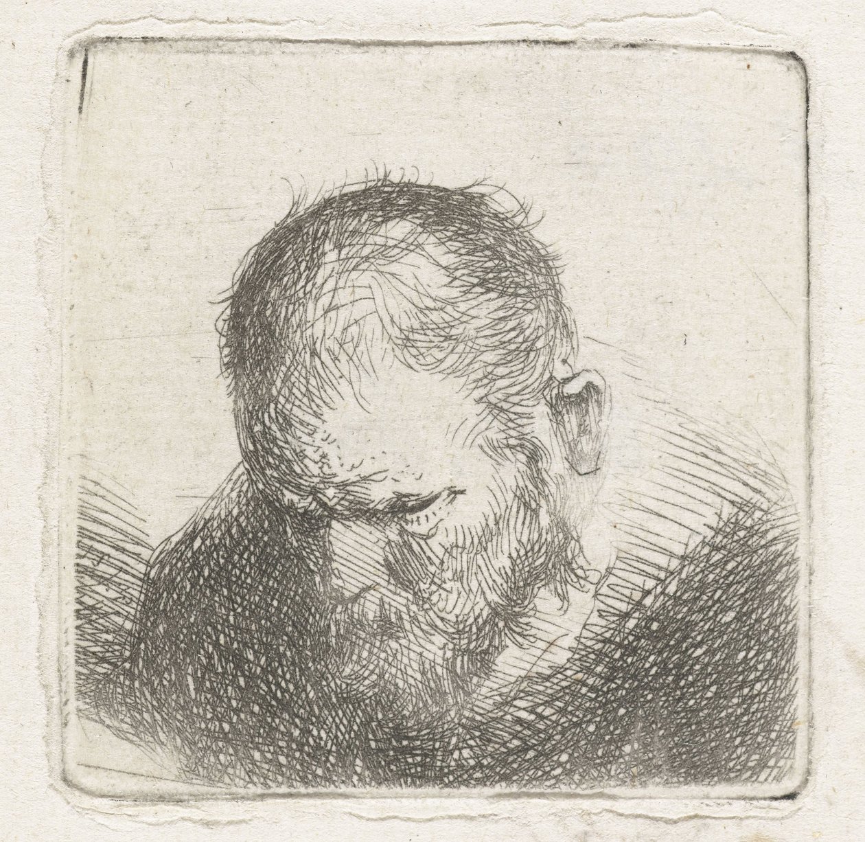 homem com barba de Jan Lievens (possibly)