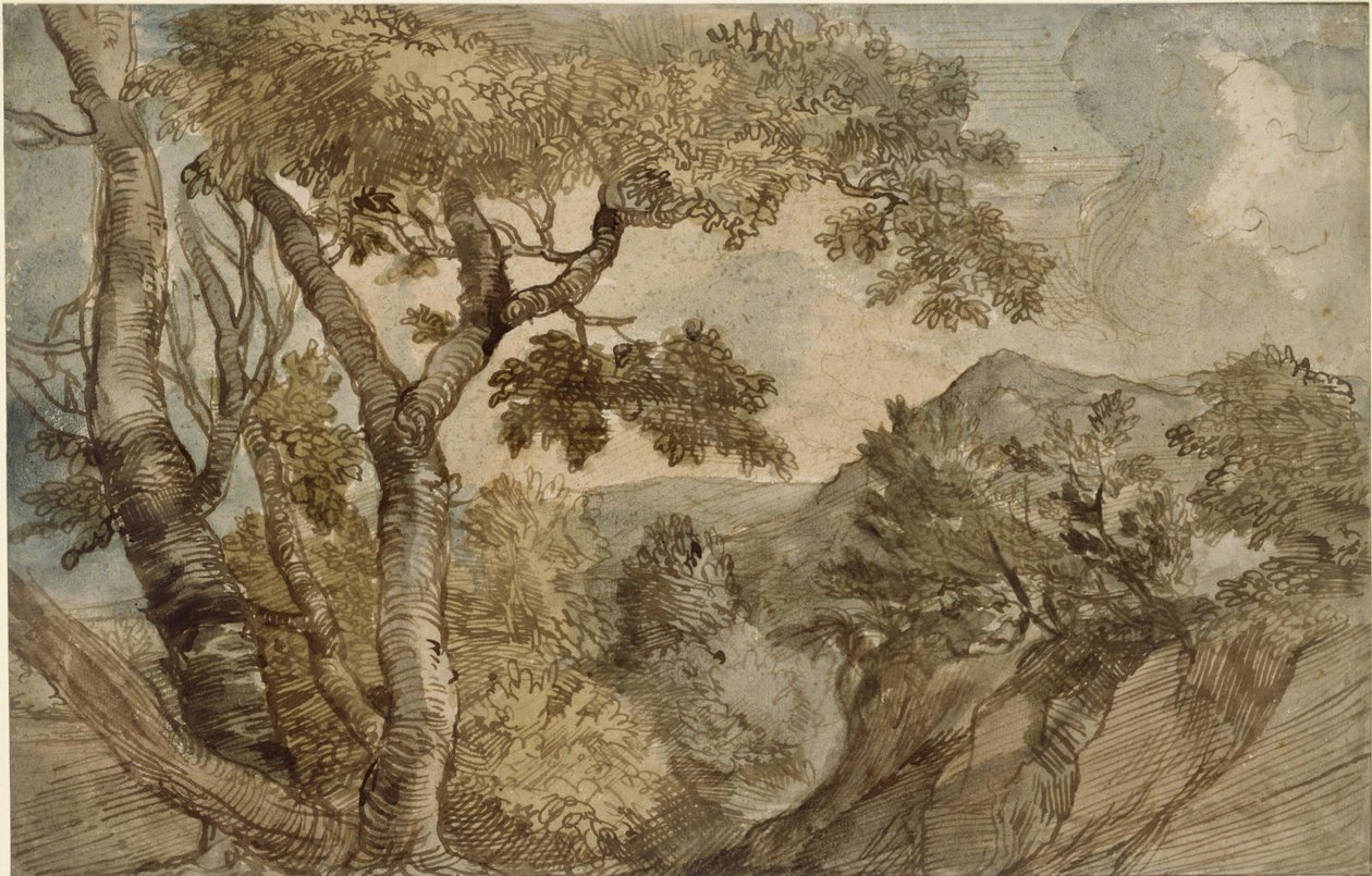 Paisagem montanhosa com um grupo de árvores de Jan Lievens