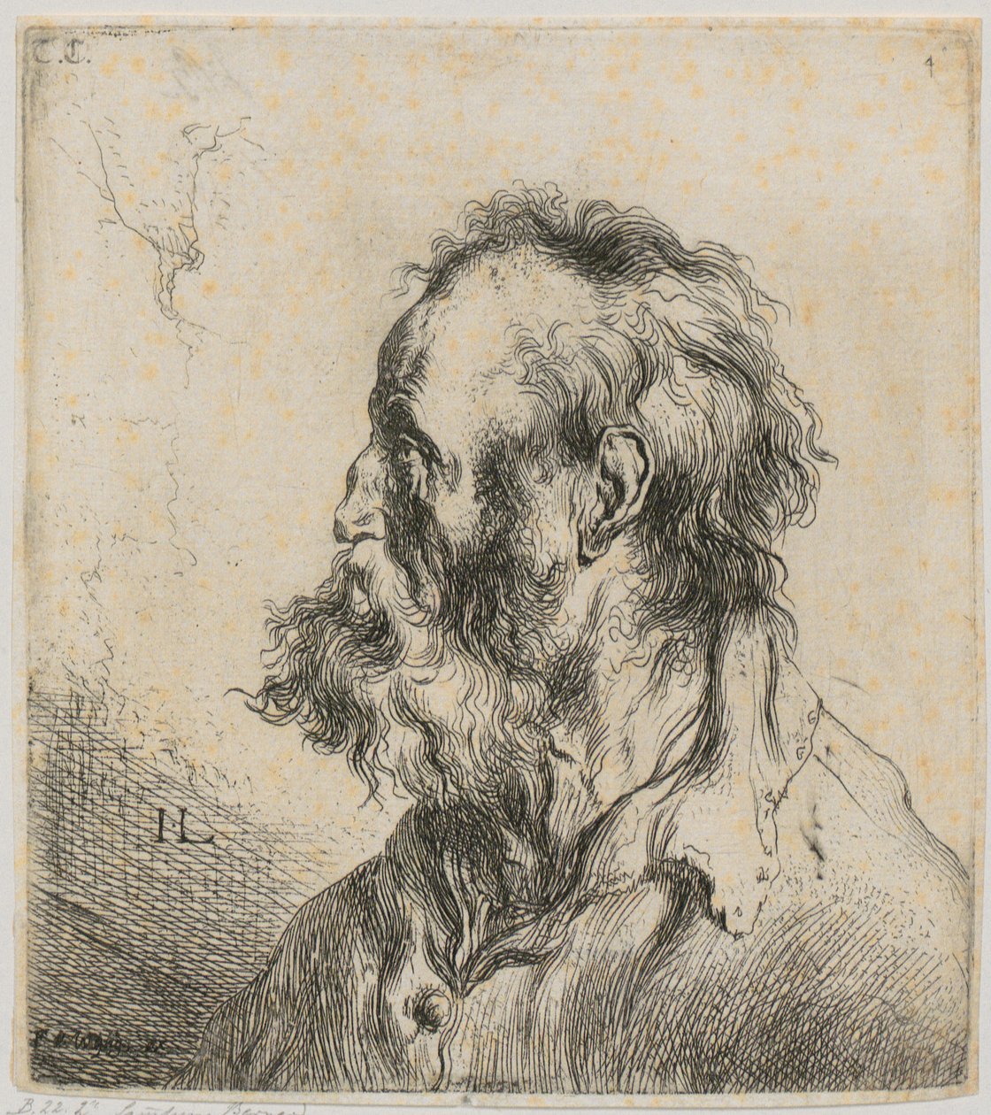 Retrato de meio corpo de um homem idoso com barba de Jan Lievens