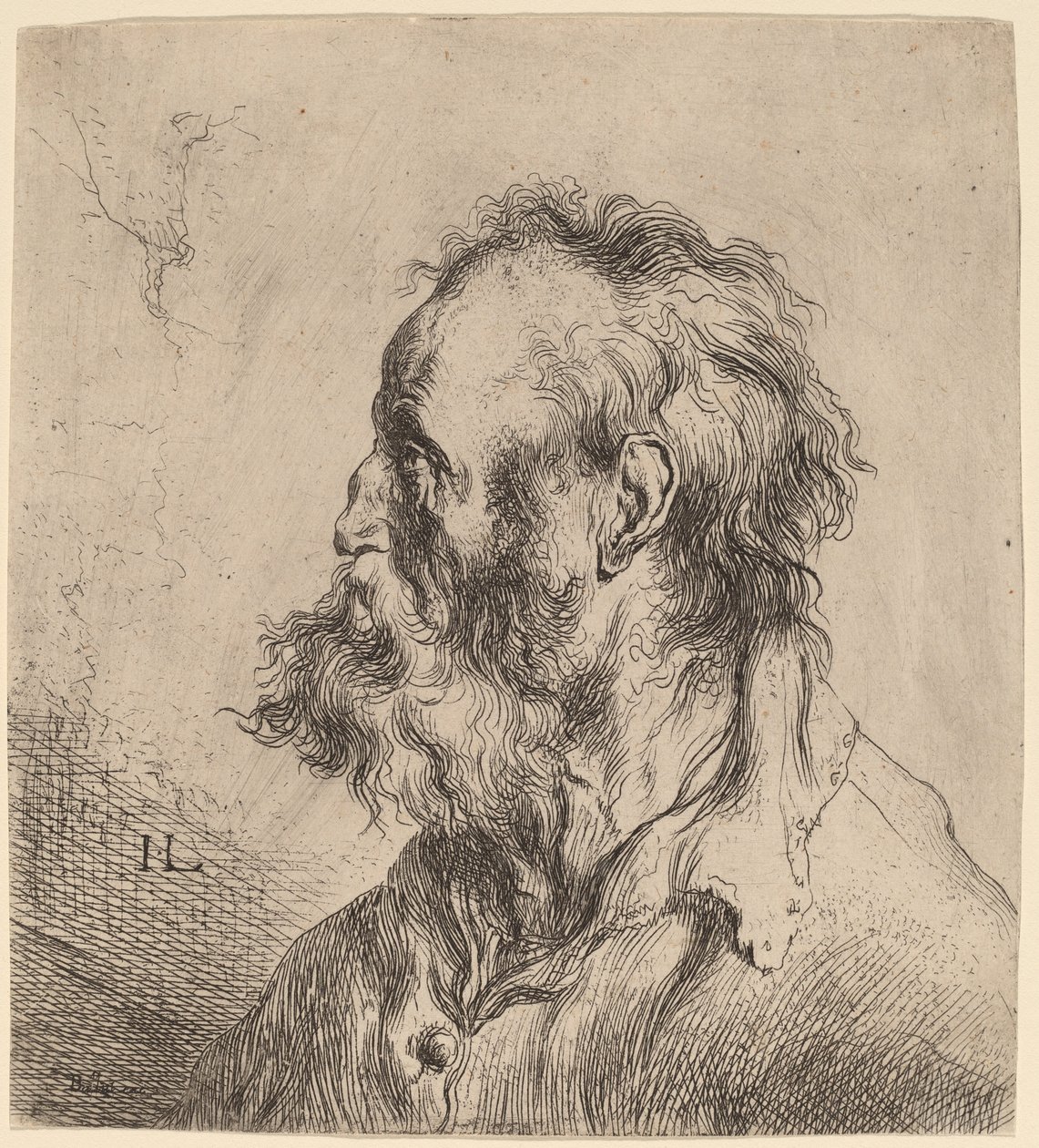 Busto de um velho barbudo de Jan Lievens