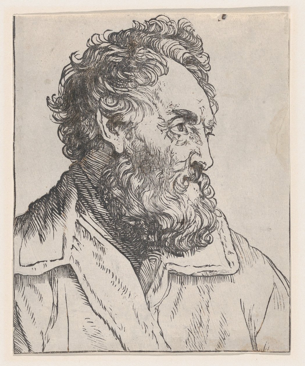 Cabeça de um homem de Jan Lievens