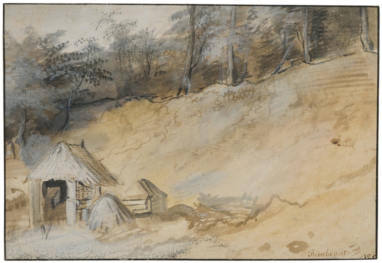Encosta arenosa com uma cabana de Jan Lievens