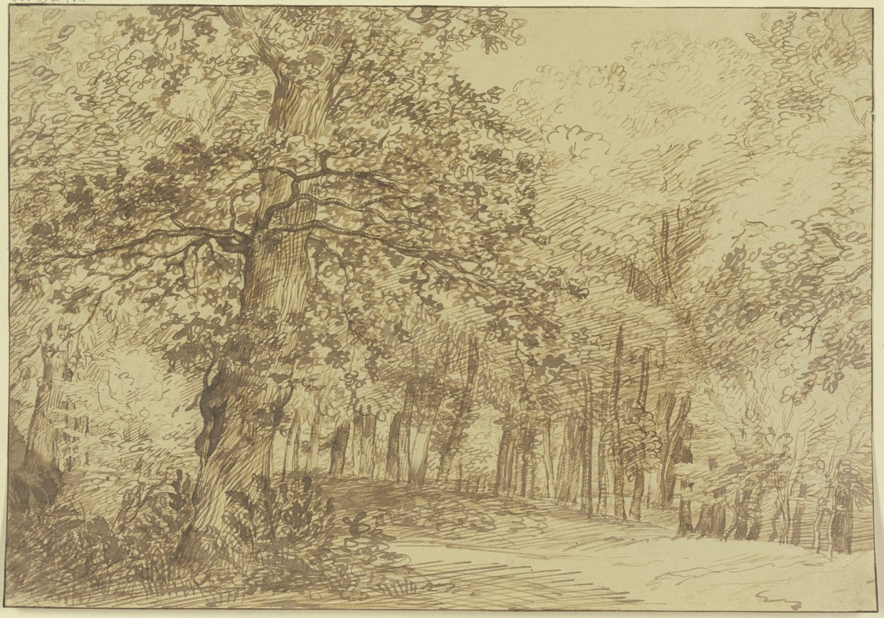 Trecho de floresta; à esquerda do caminho, um grande carvalho de Jan Lievens