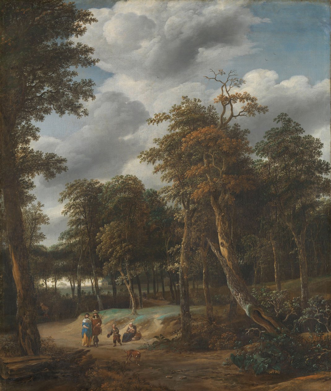 Estrada florestal de Jan Looten