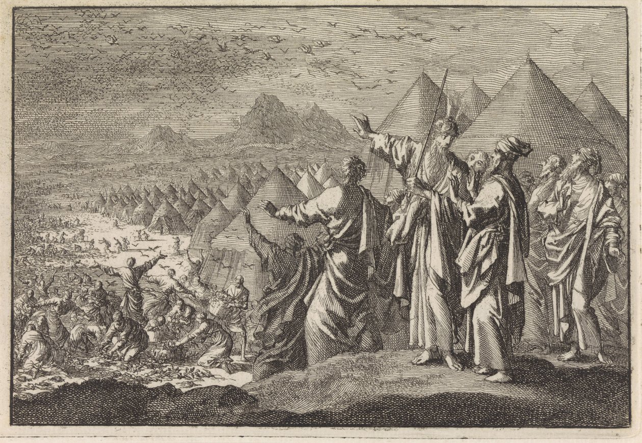 Codornizes no deserto de Jan Luyken