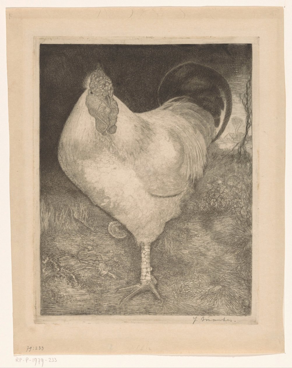 Galo numa perna de Jan Mankes (signed by artist)