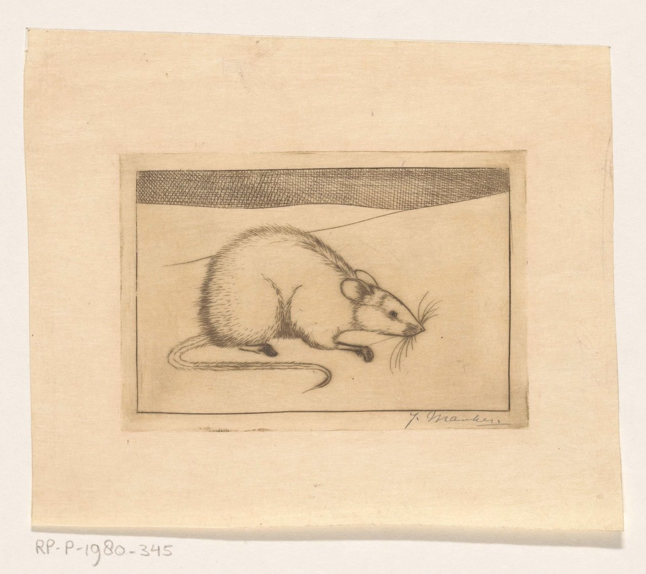Rato de Jan Mankes (signed by artist)