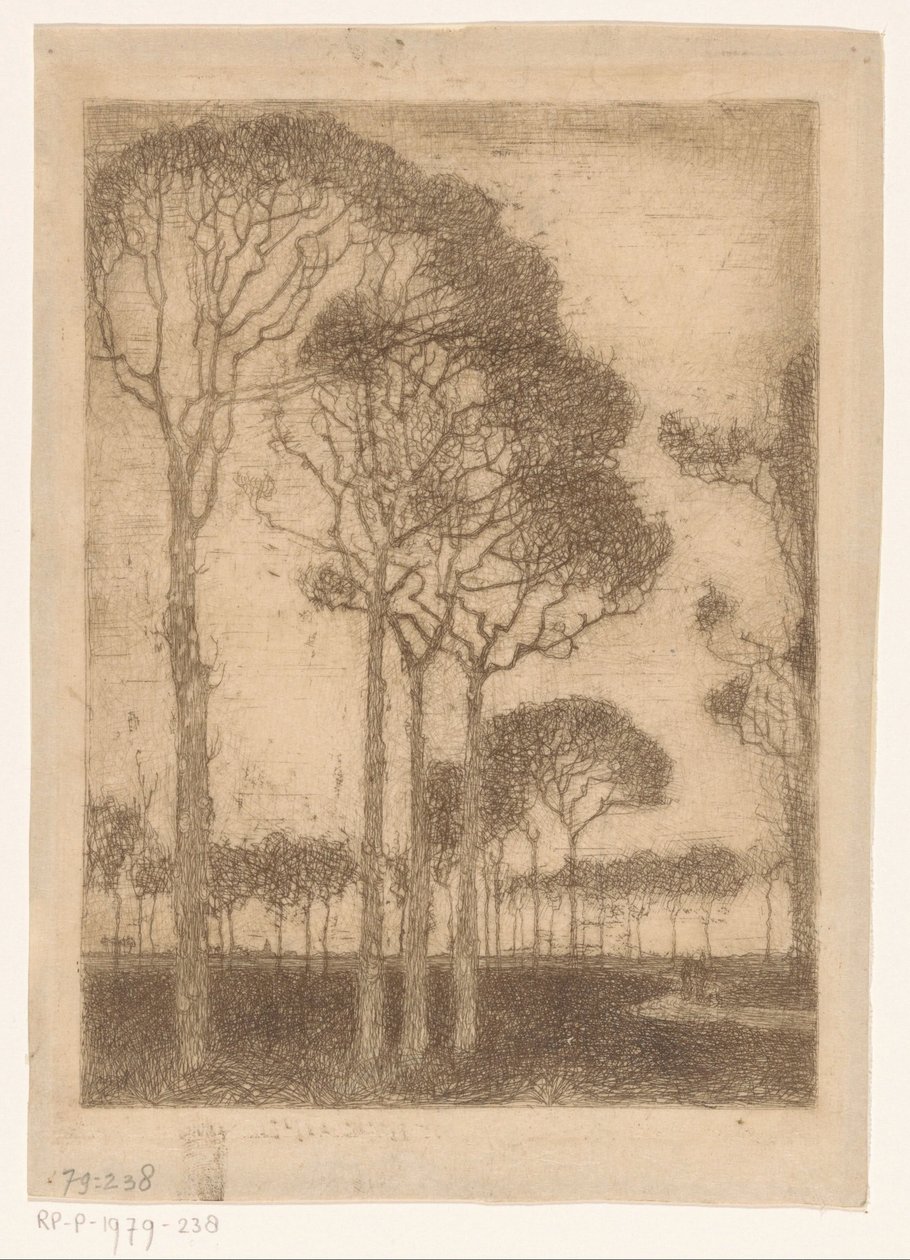 Árvores na orla de Oranjewoud de Jan Mankes