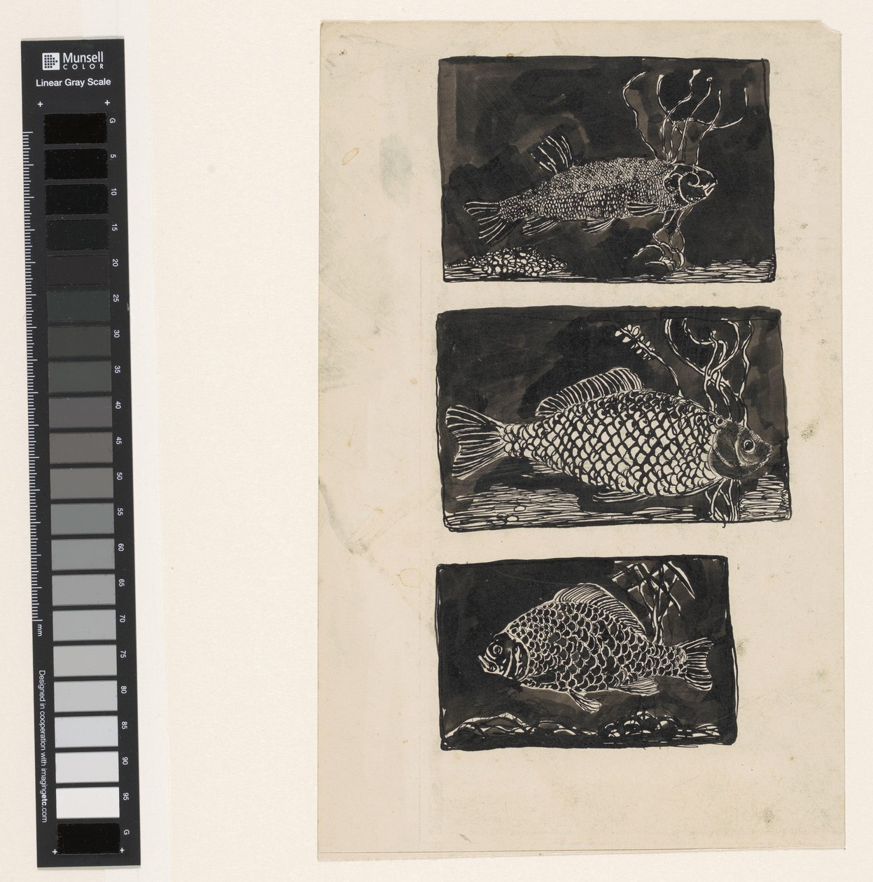 Três peixes de Jan Mankes