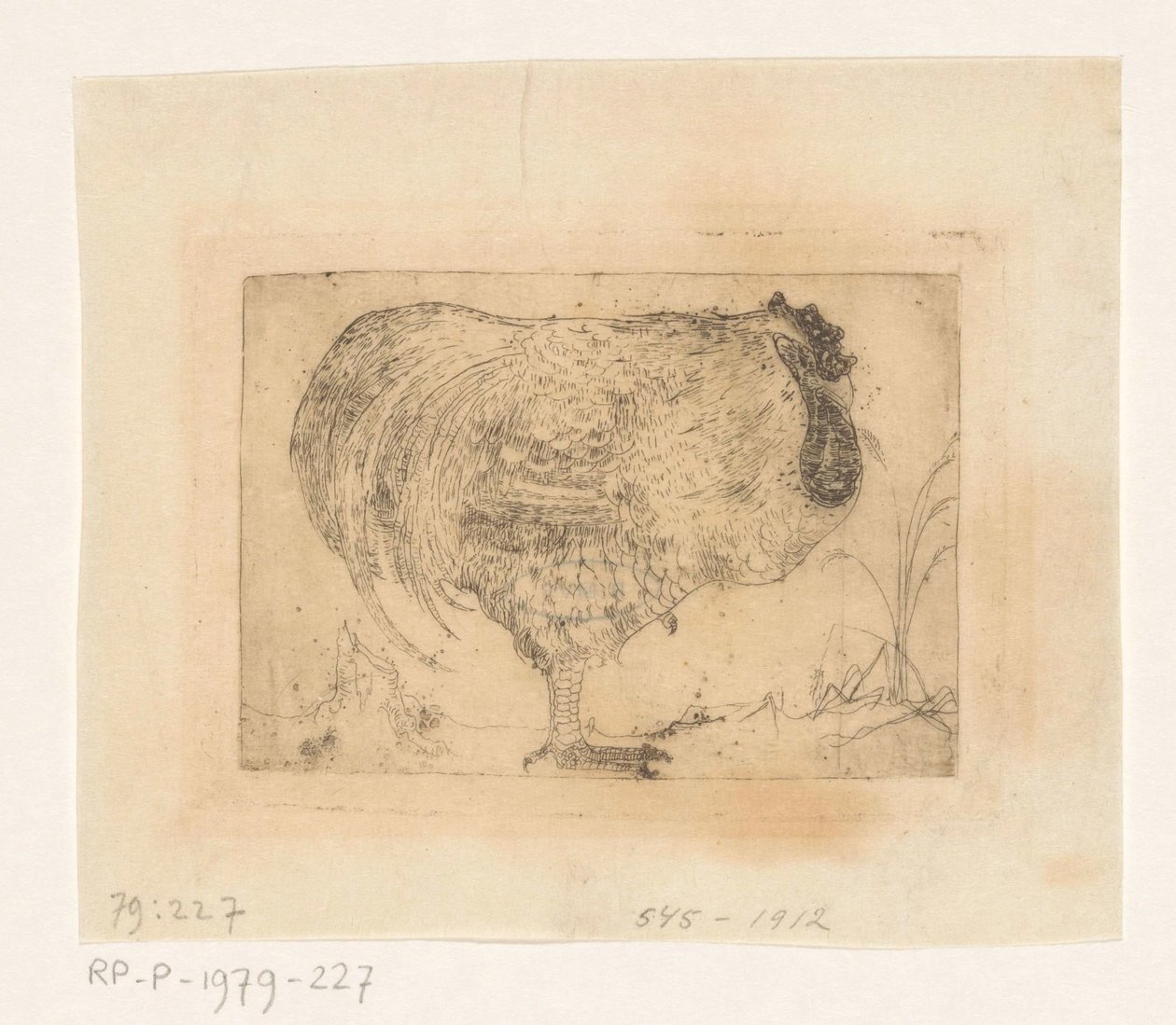 galo agachado de Jan Mankes