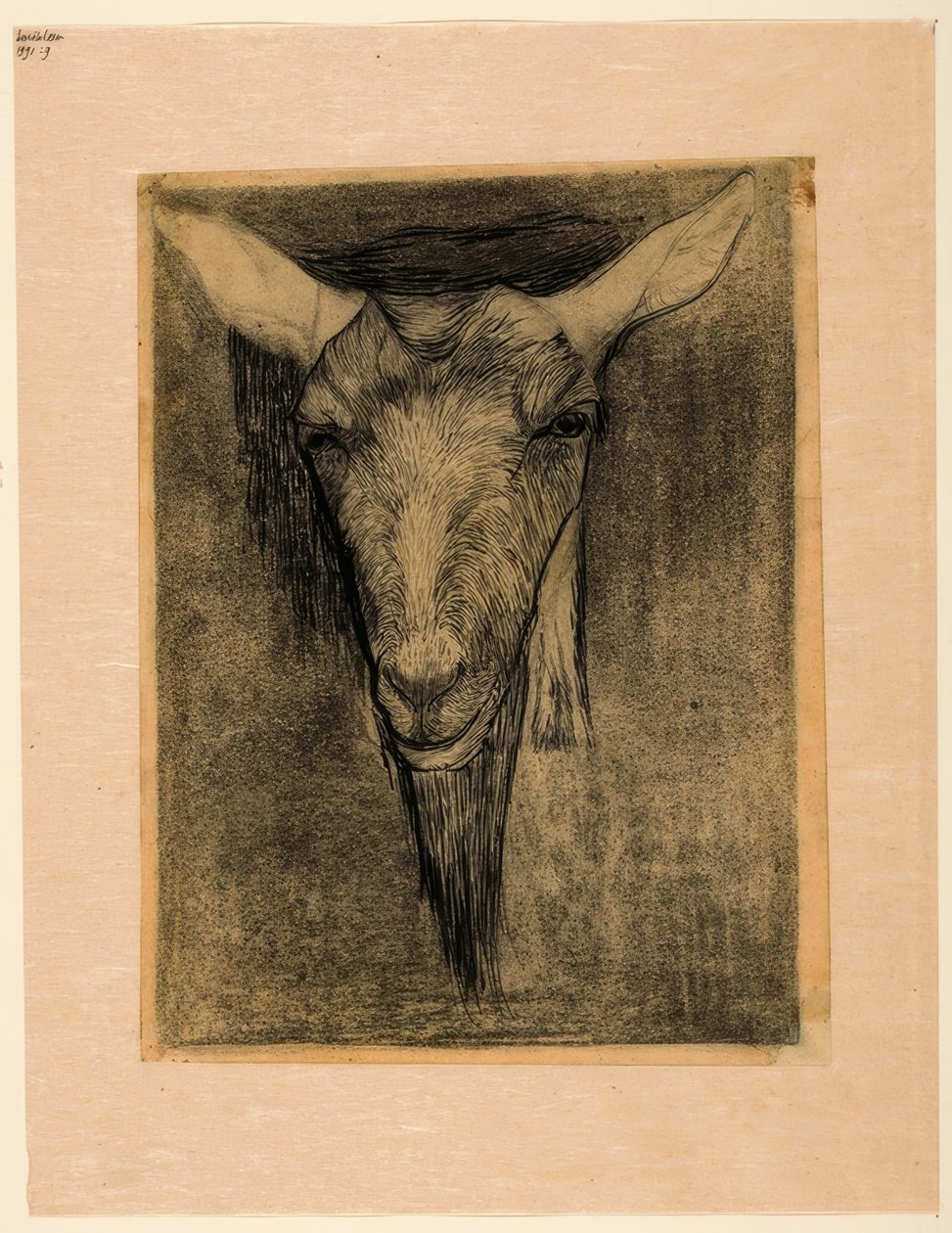 Cabeça de cabra de Jan Mankes
