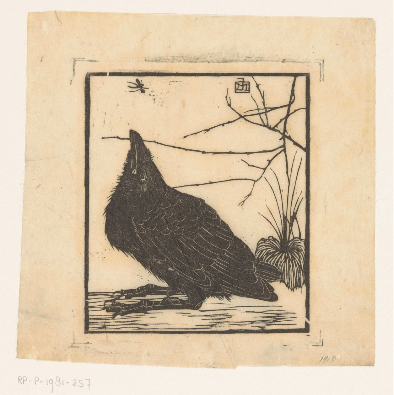 Corvo, a olhar para o mosquito de Jan Mankes
