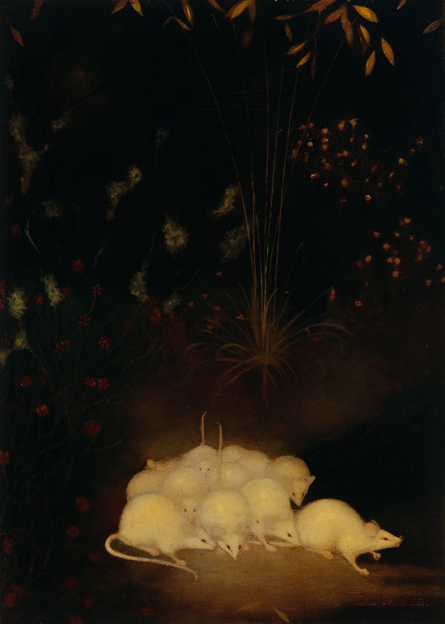 Ratos saindo de Jan Mankes