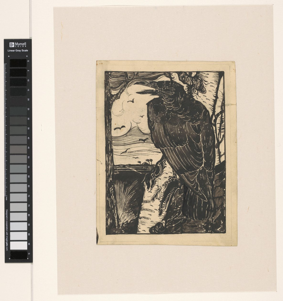 Corvo na bétula de Jan Mankes