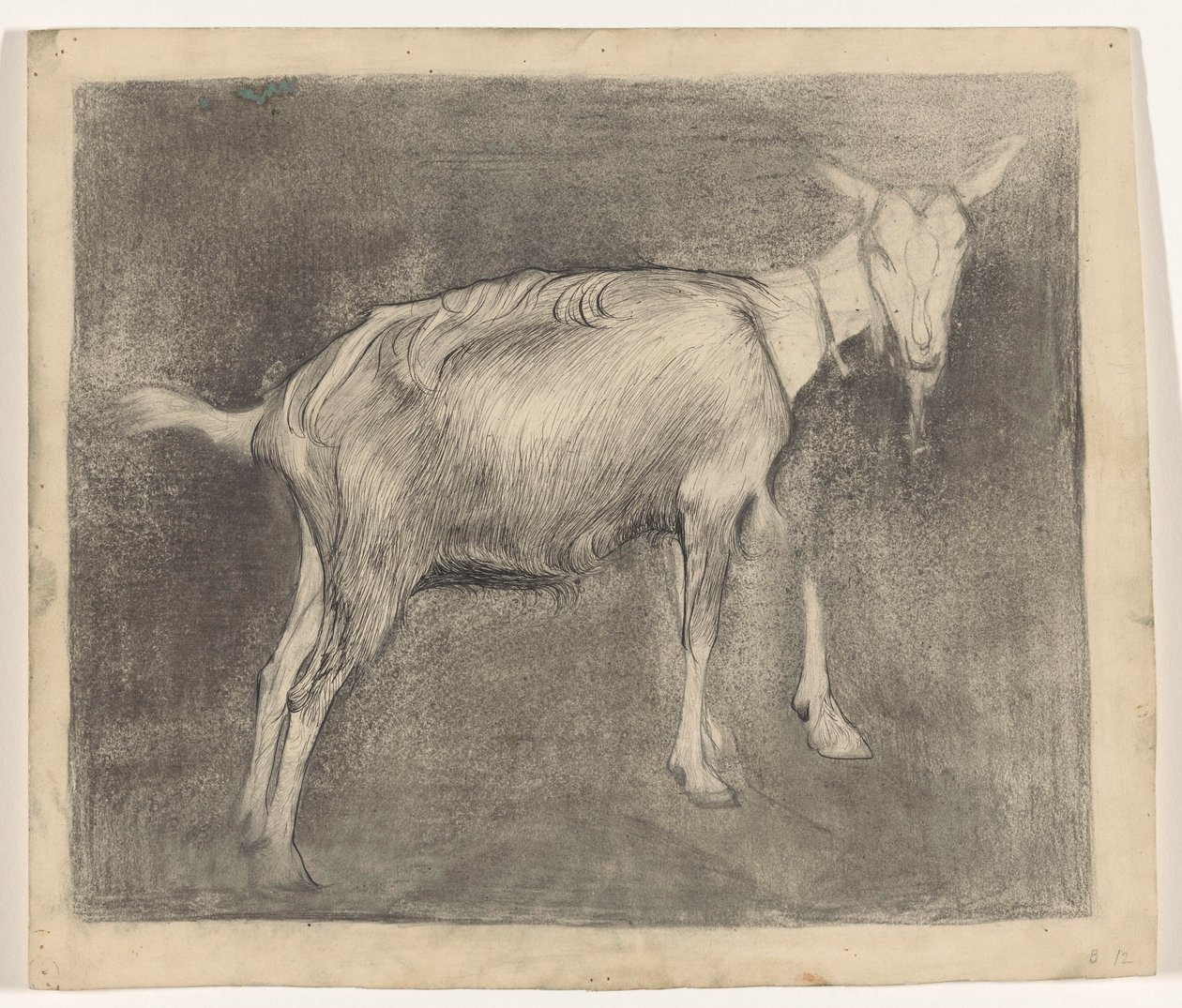 cabra em pé de Jan Mankes