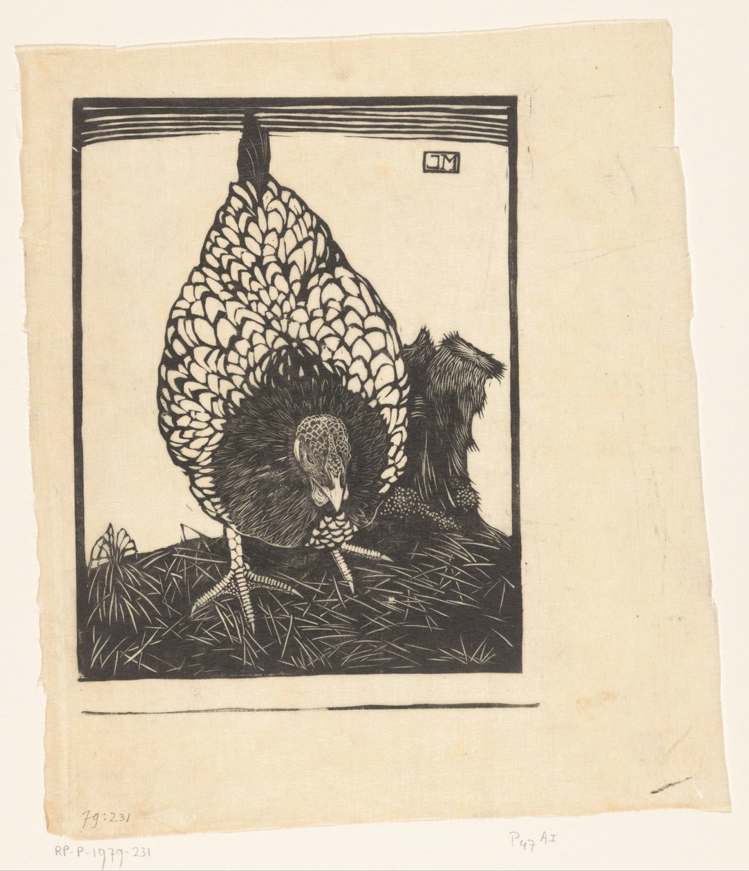 wyandotte prateado de Jan Mankes