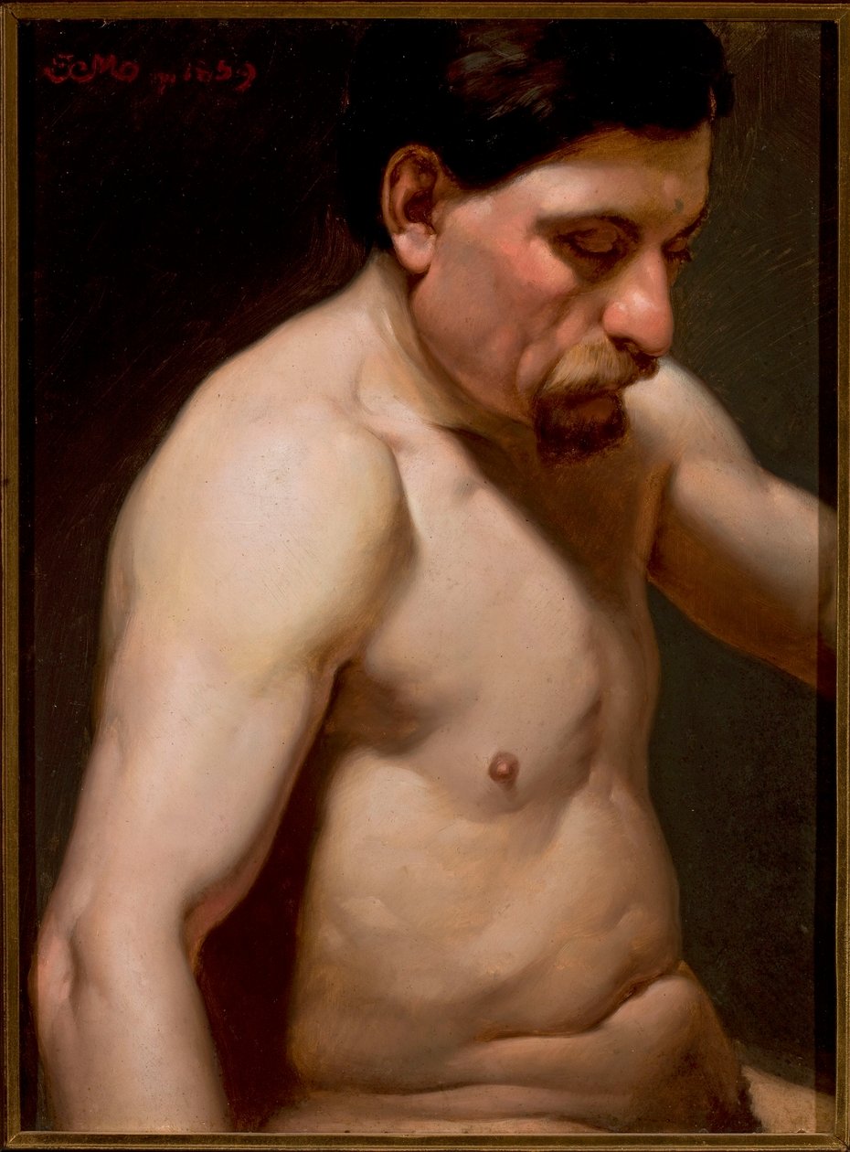 Seminu masculino de Jan Matejko