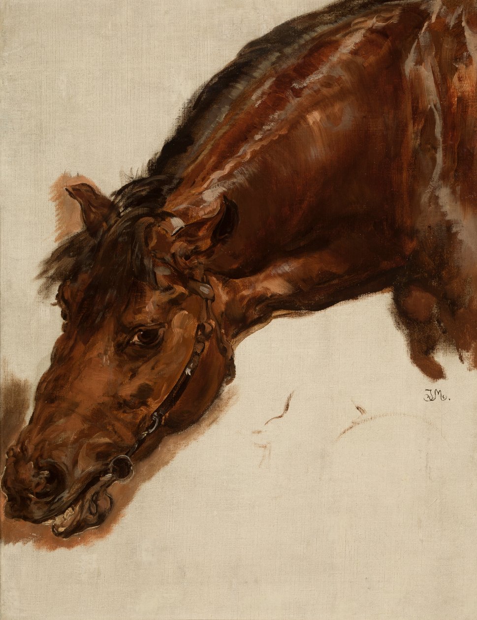 Estudo da cabeça do cavalo de Jan Matejko