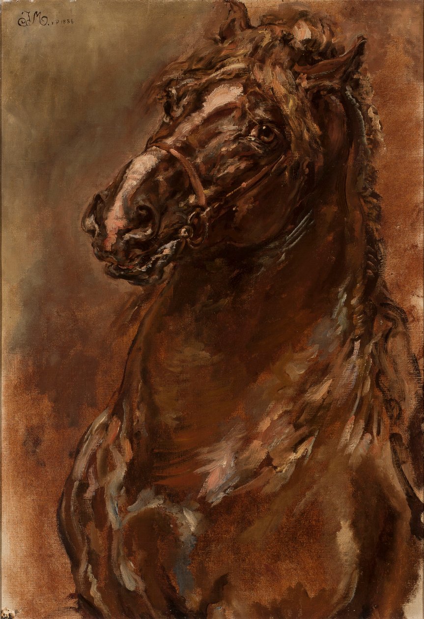Estudo da cabeça de cavalo para «A Virgem de Orléans» de Jan Matejko