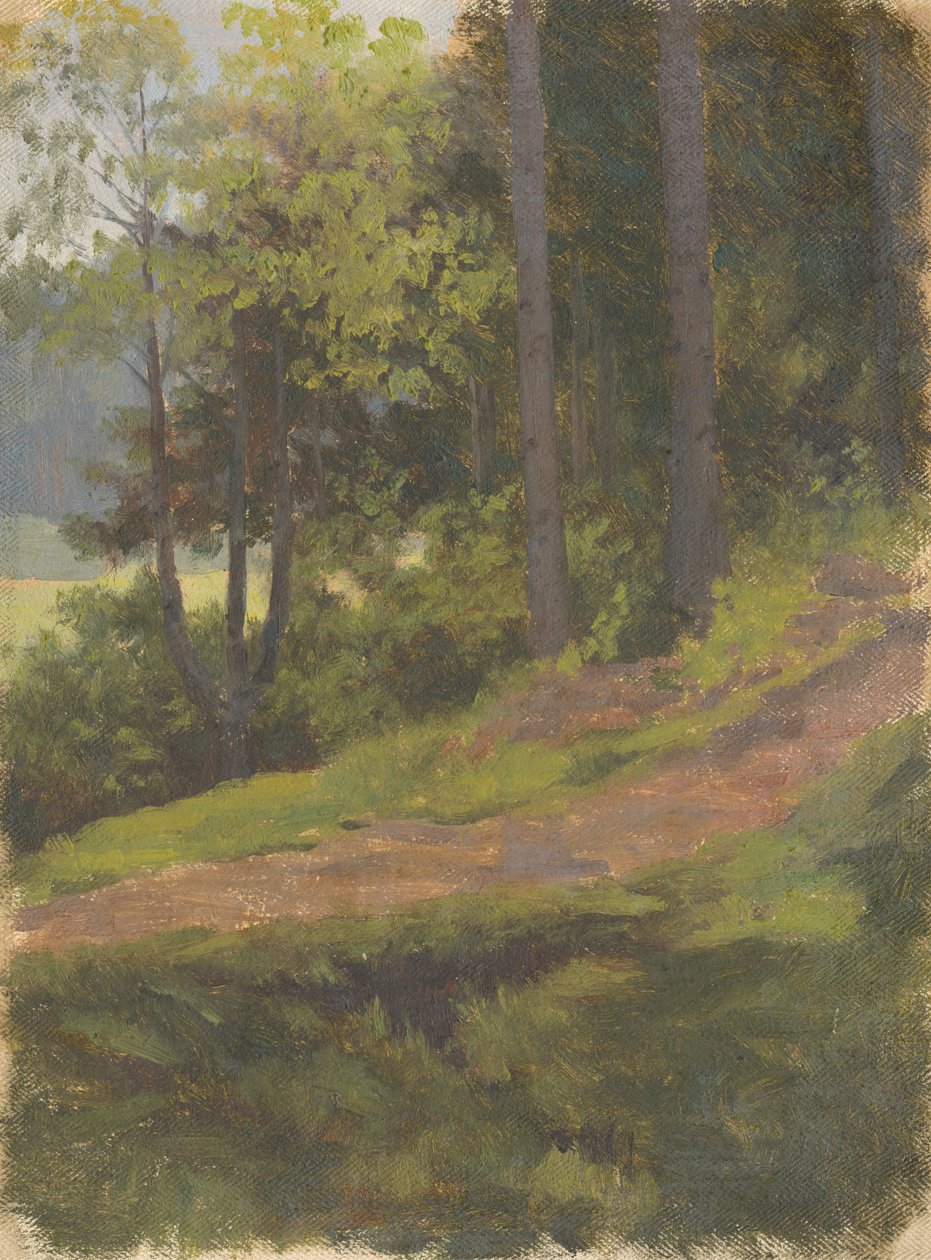 Caminho na Borda da Floresta de Jan Nowopacký