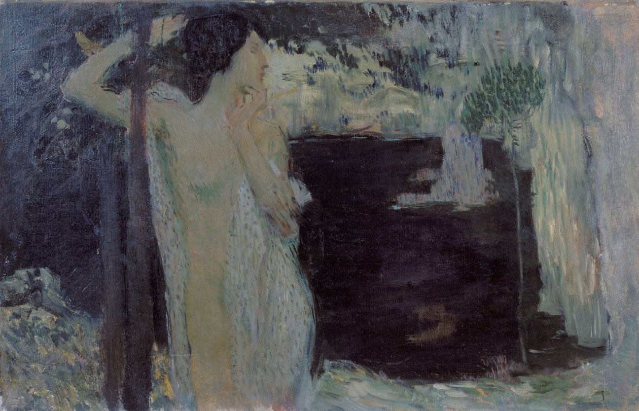 Mulher no Lago Negro, 1904 de Jan Preisler
