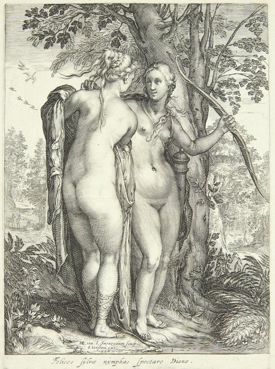 Diana e uma ninfa por uma árvore de Jan Saenredam