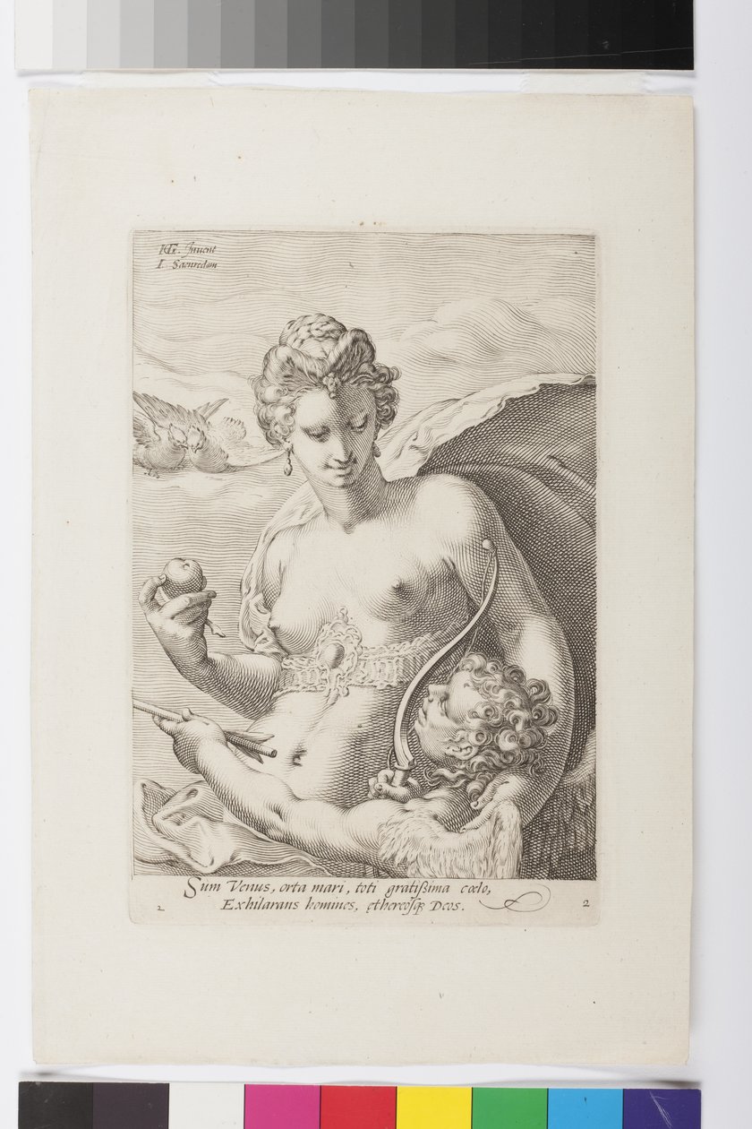 Vênus (gravura) de Jan Saenredam