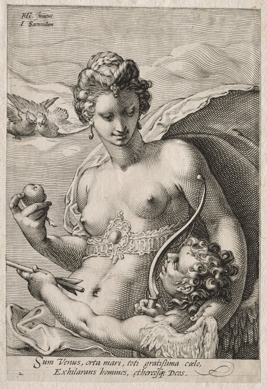Vênus e Cupido de Jan Saenredam