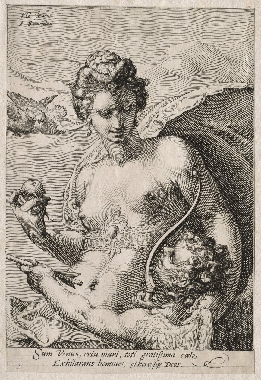 Vênus e Cupido, c. 1595 de Jan Saenredam