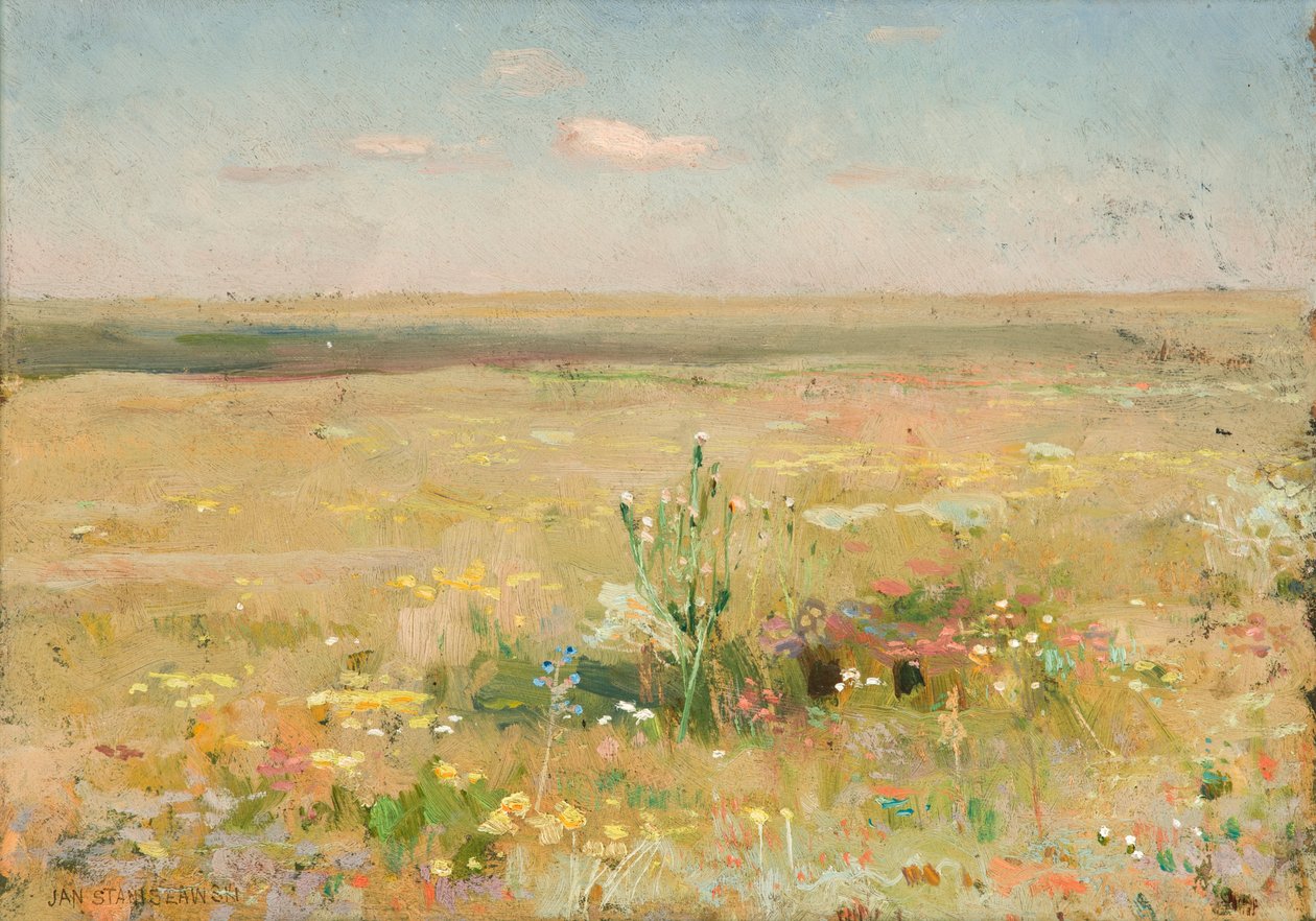 Estepe de Jan Stanislawski