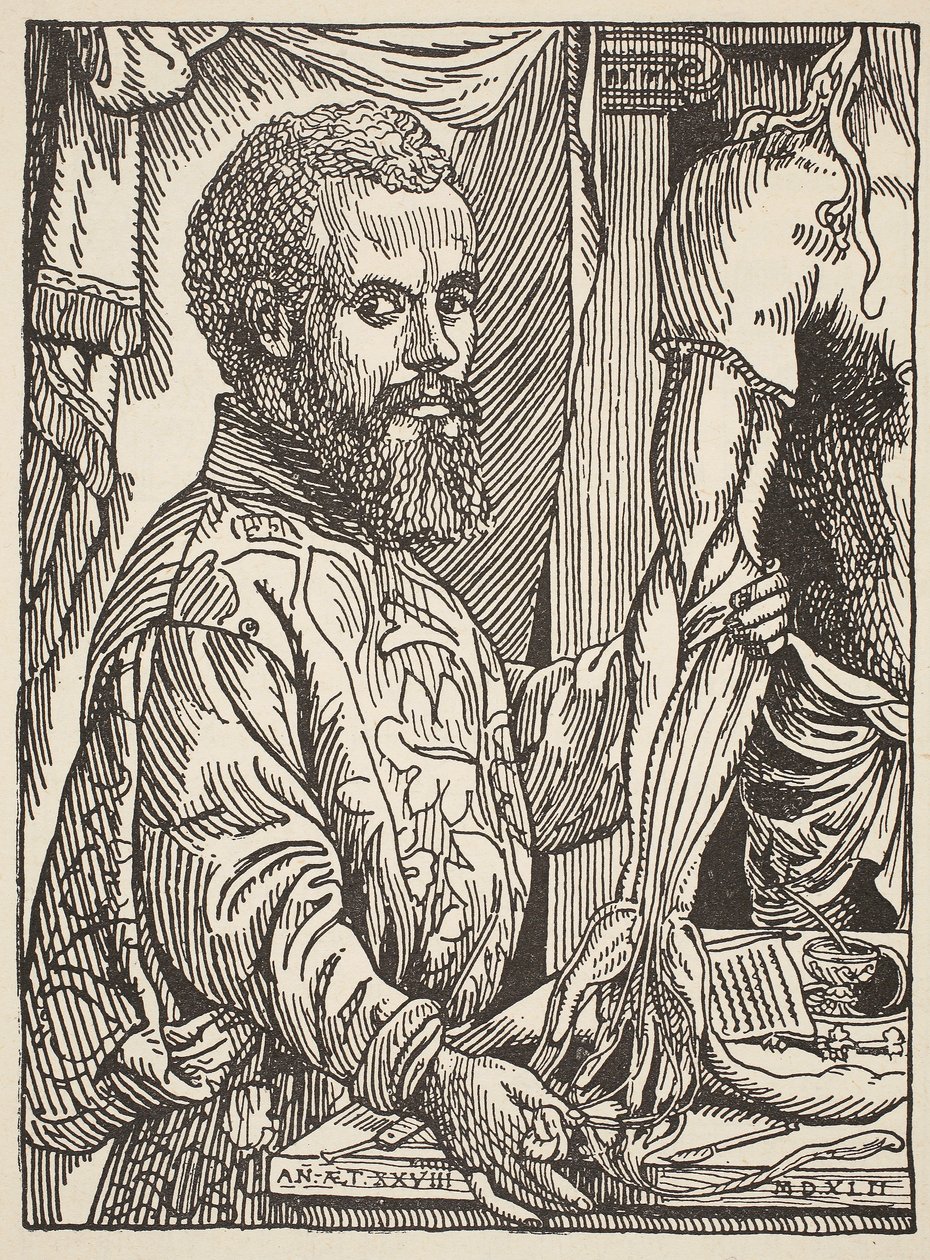 Andre Vesale, cópia de Boris Mestchersky (n.1957), Ilustração da História da Francaise Nacional, Ciências, Volumes I e II, por Gabriel Hanotaux (1853-1944), 1924 de Jan Stephen van Calcar