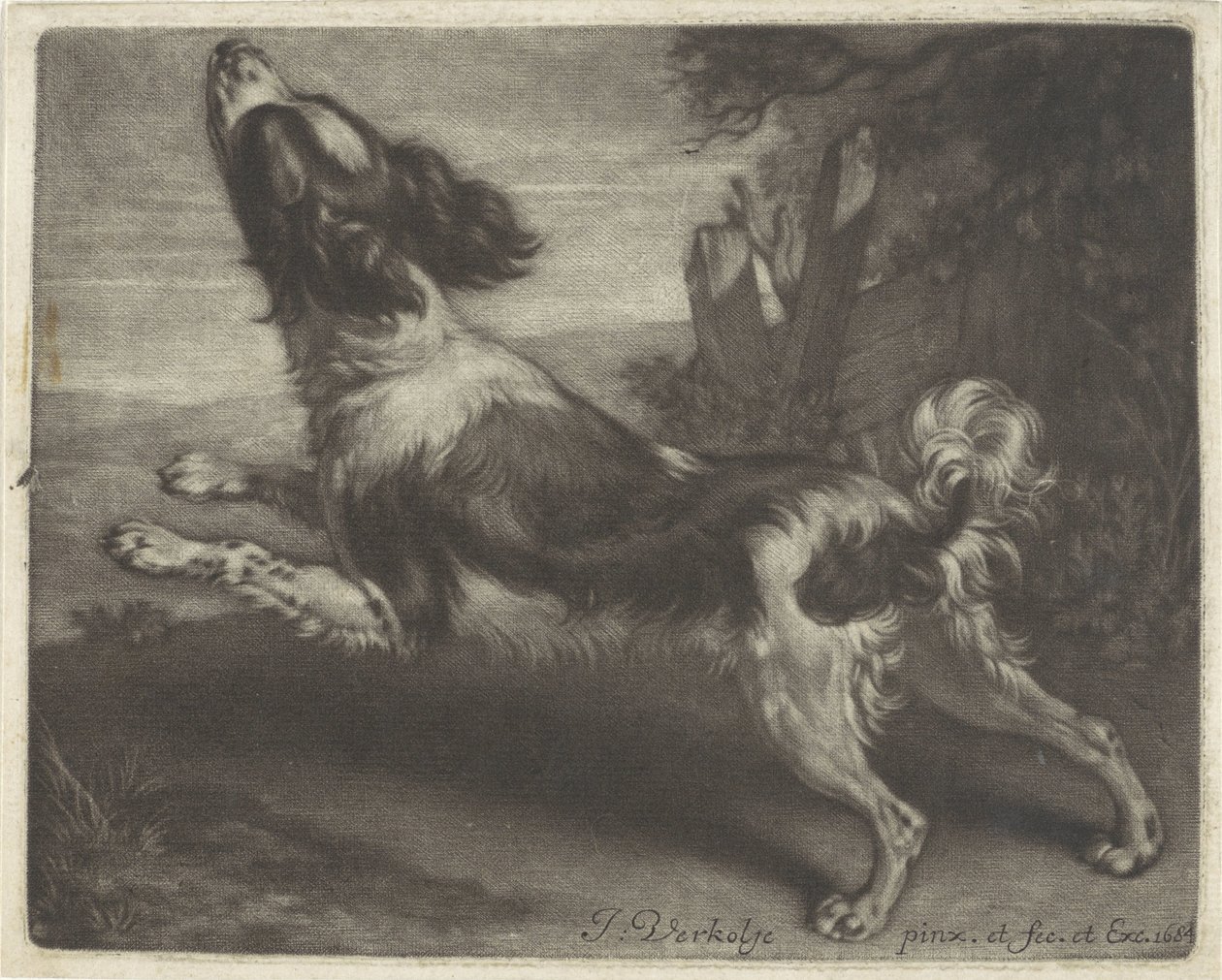 Cão de corrida, possivelmente um spaniel de Jan Verkolje (I)