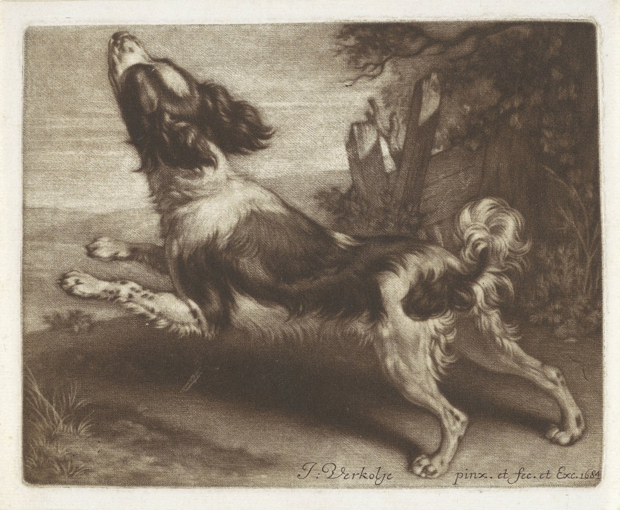 Cachorro correndo, possivelmente um spaniel de Jan Verkolje (I)