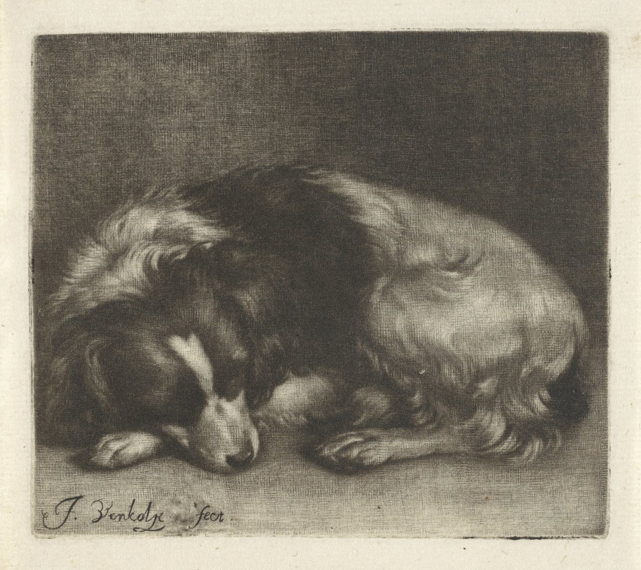Cão adormecido, possivelmente um spaniel de Jan Verkolje (I)