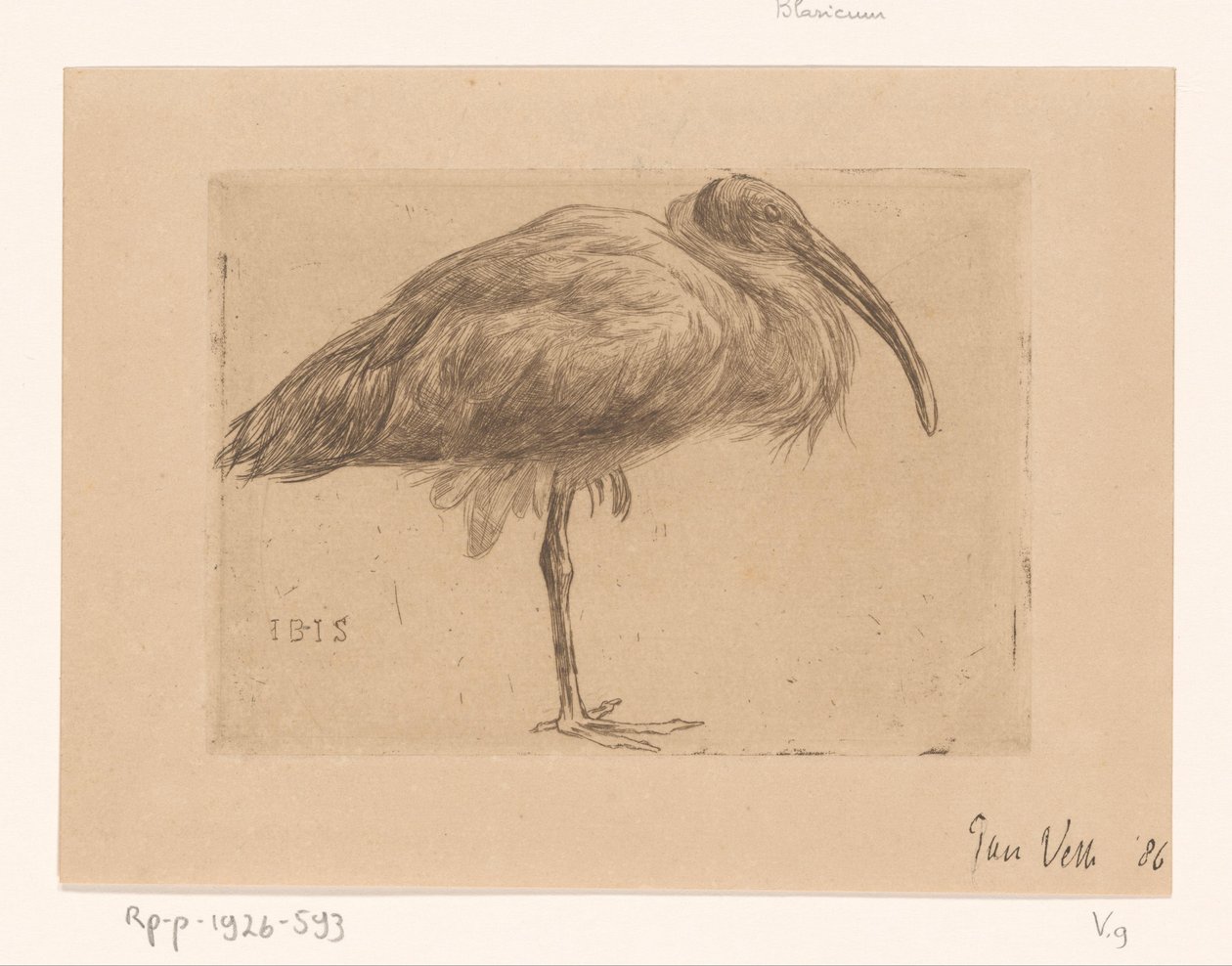 Ibis (título original no objeto) de Jan Veth (signed by artist)
