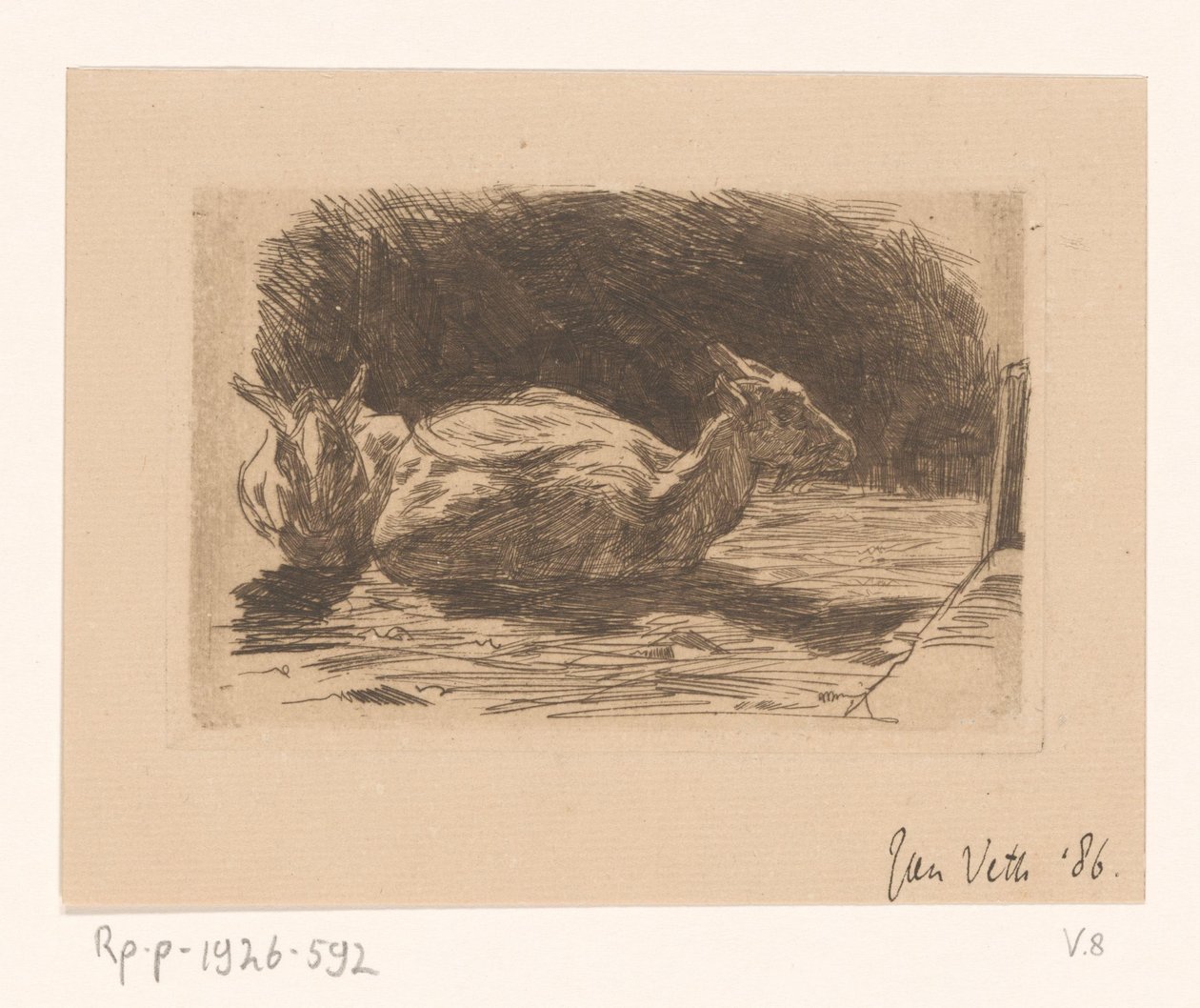 Dois bodes de Jan Veth (signed by artist)