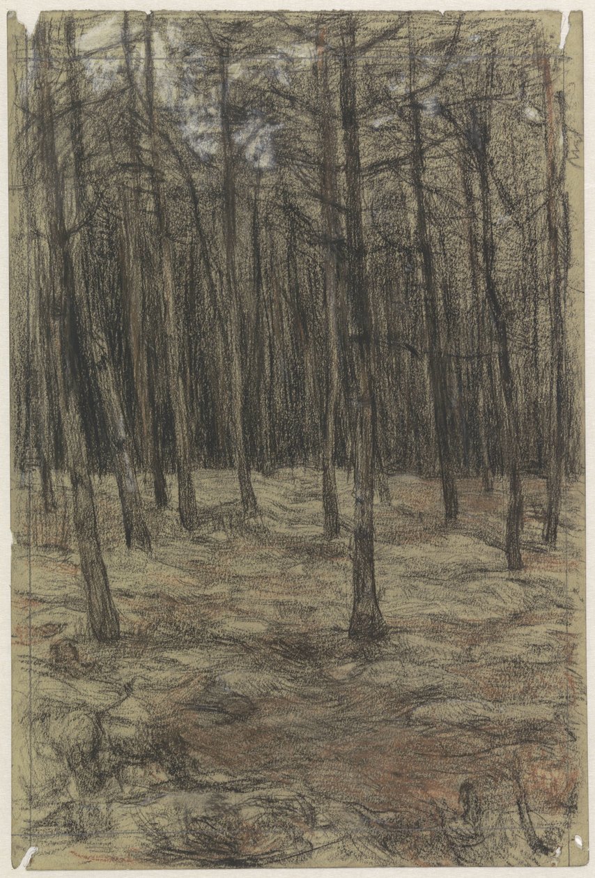 Paisagem florestal de Jan Veth